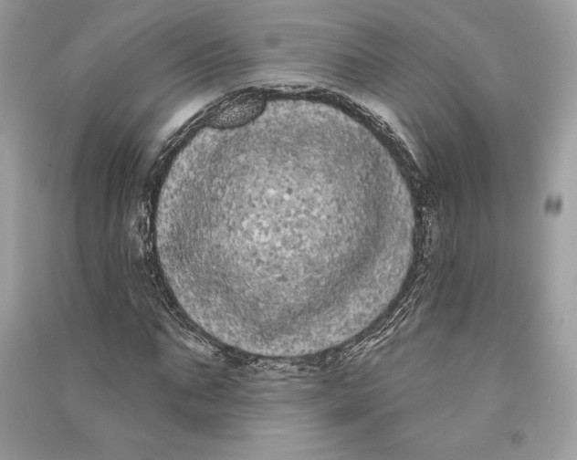 X0000090710871200708101503