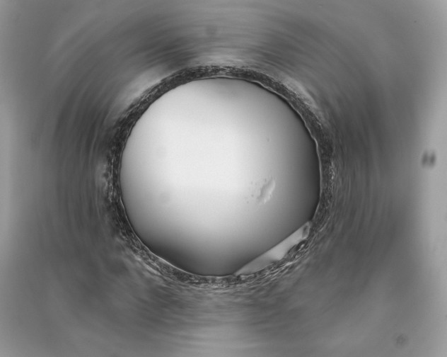 X0000090710872200708101503