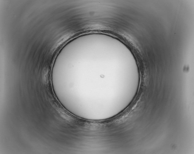 X0000090710873200708101503