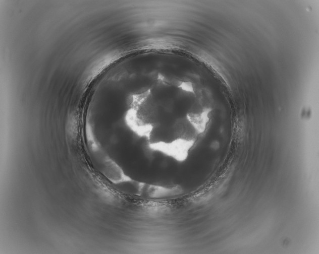 X0000090710874200708101503