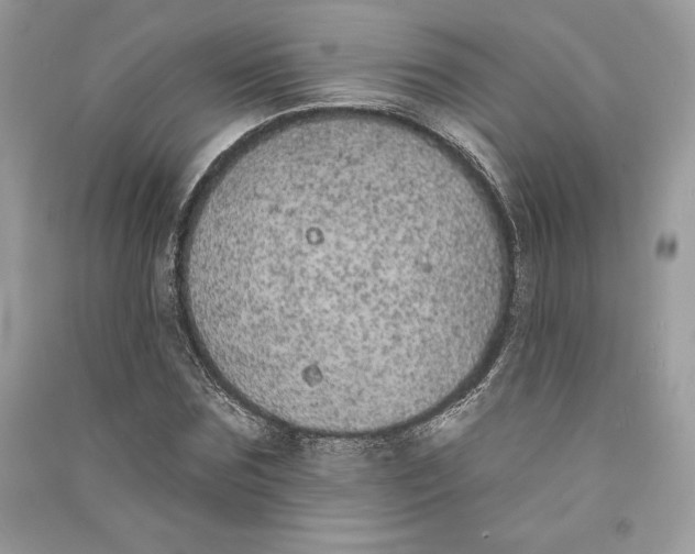 X0000090710875200708101503