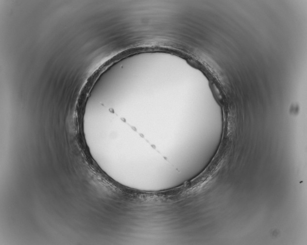 X0000090710876200708101503