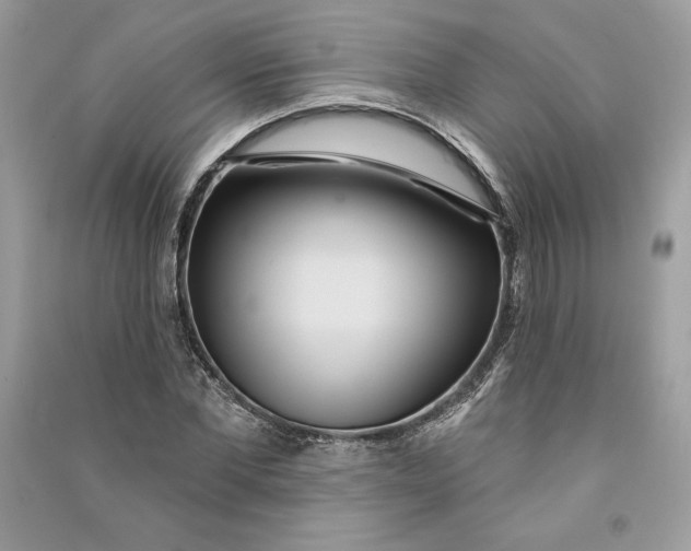 X0000090710877200708101503