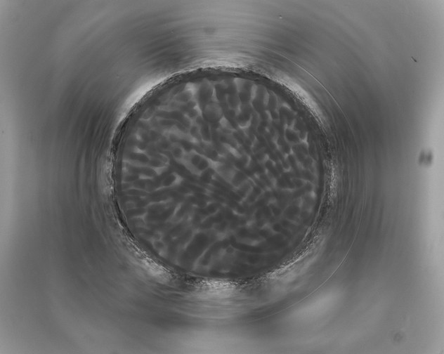 X0000090710878200708101503