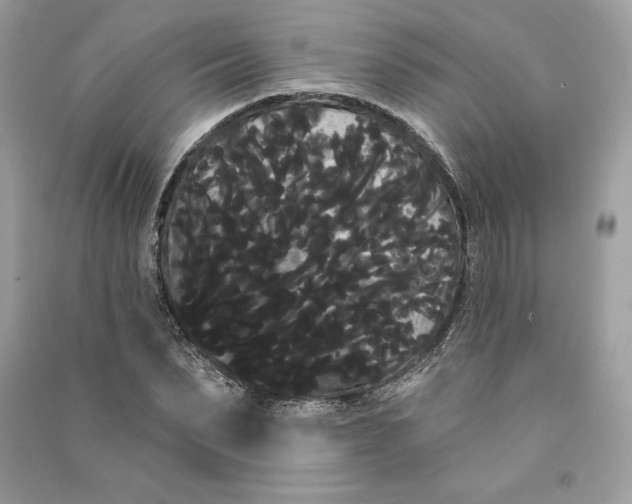 X0000090710879200708101503