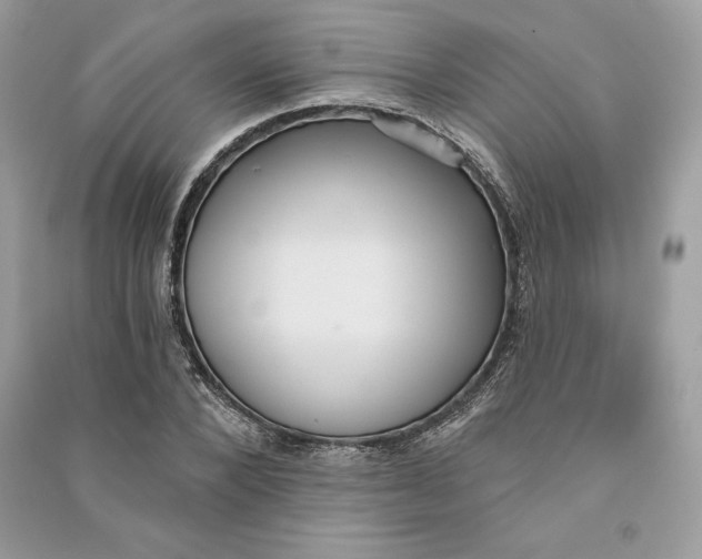 X0000090710880200708101503