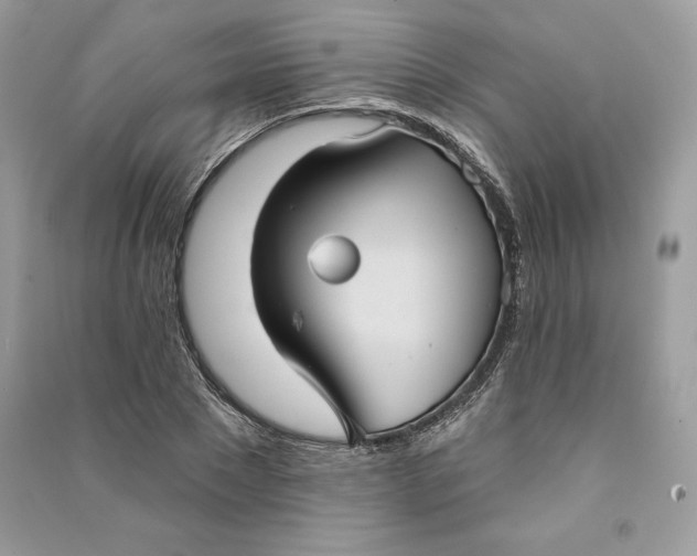 X0000090710881200708101503