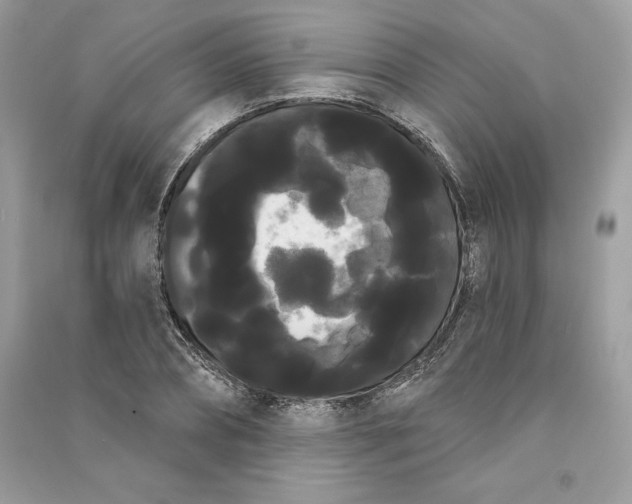 X0000090710882200708101503