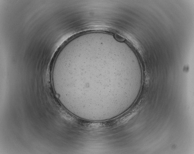 X0000090710883200708101503