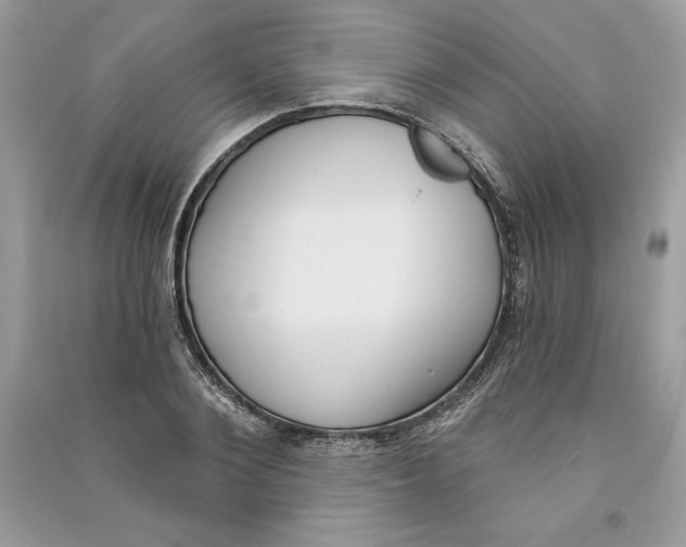 X0000090710884200708101503