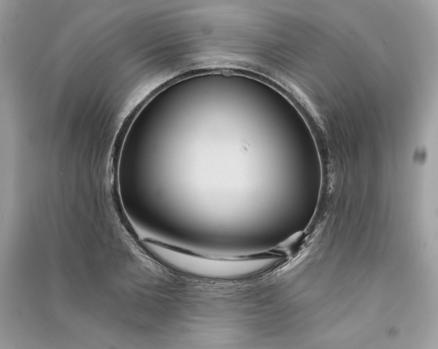 X0000090710885200708101503