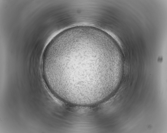 X0000090710886200708101503