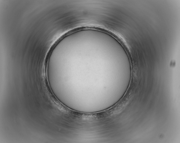 X0000090710887200708101503