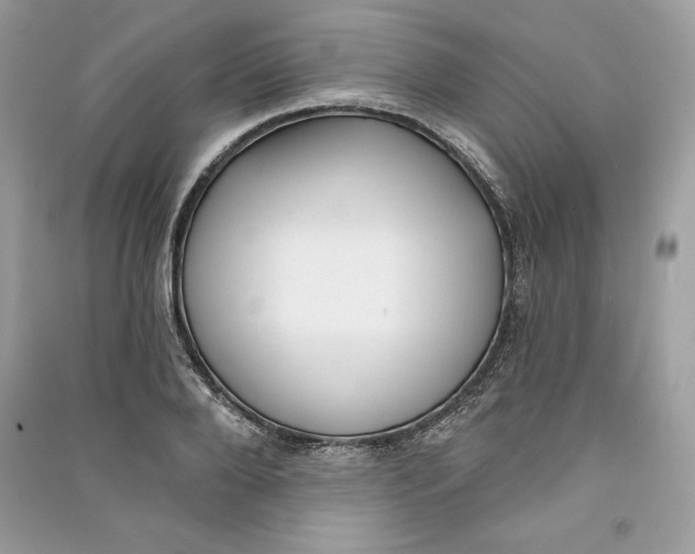 X0000090710888200708101503