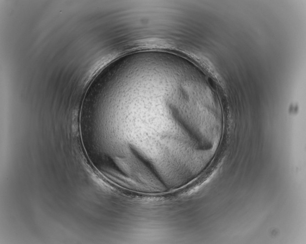 X0000090710889200708101503