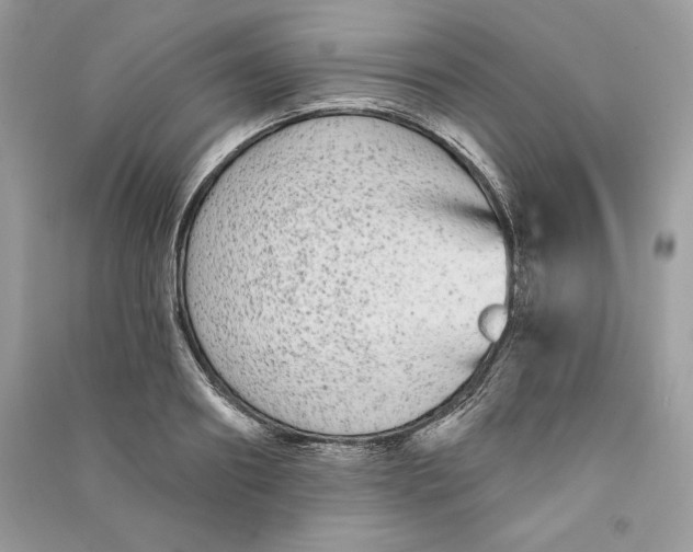 X0000090710890200708101503