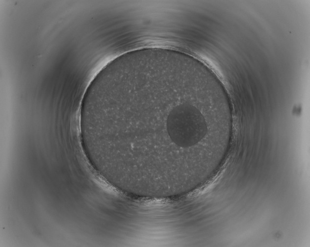 X0000090710891200708101503