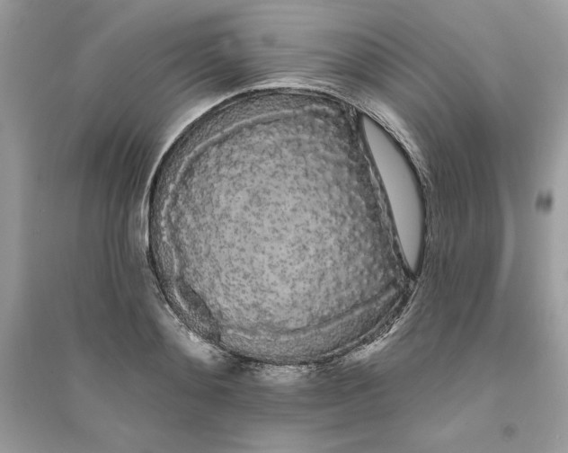 X0000090710892200708101503