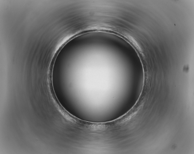 X0000090710893200708101503