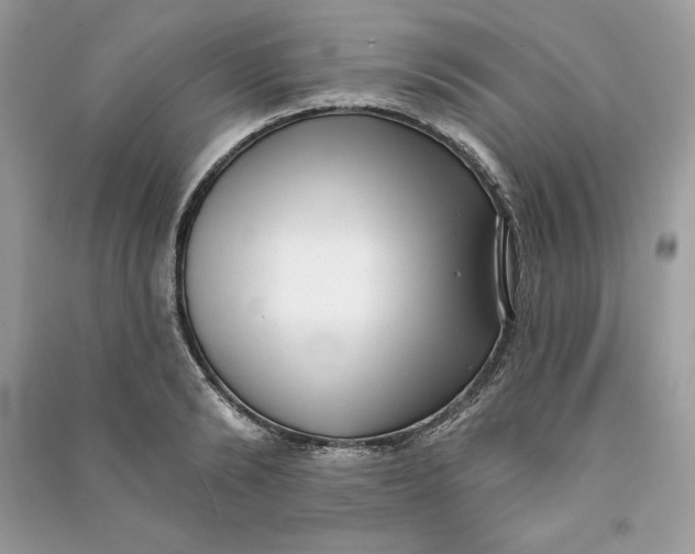 X0000090710894200708101503