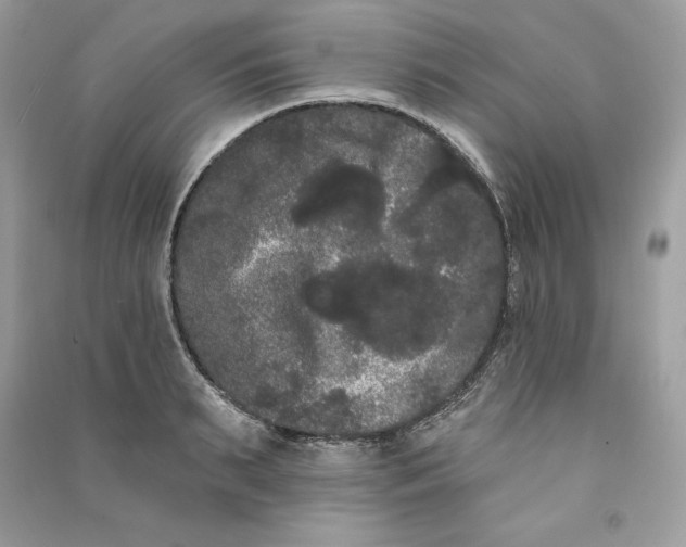 X0000090710895200708101503