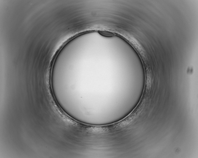 X0000090710896200708101503