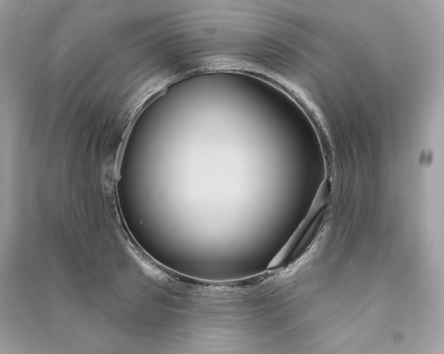 X0000090710897200708101503