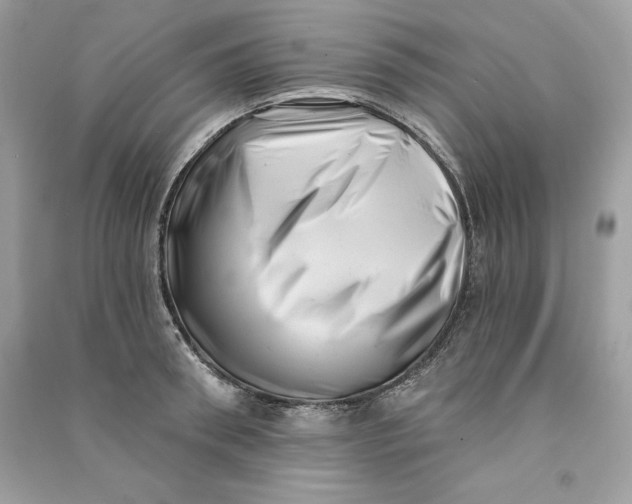 X0000090710898200708101503