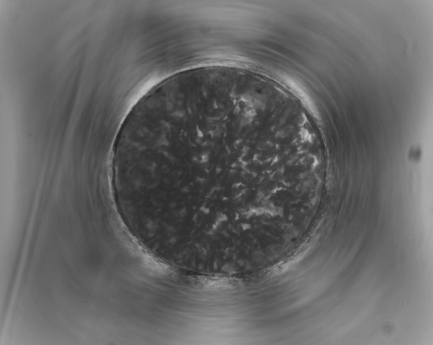 X0000090710899200708101503