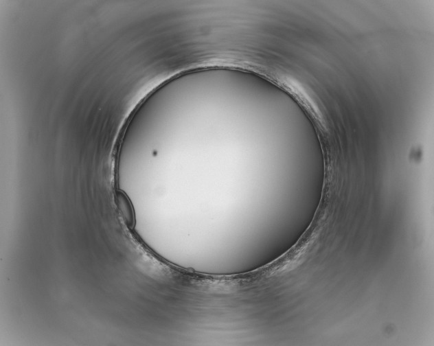 X0000090710900200708101503