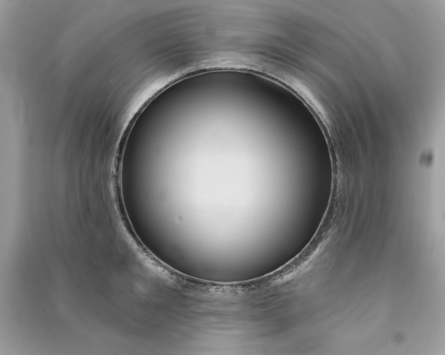 X0000090710901200708101503