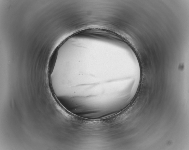 X0000090710902200708101503