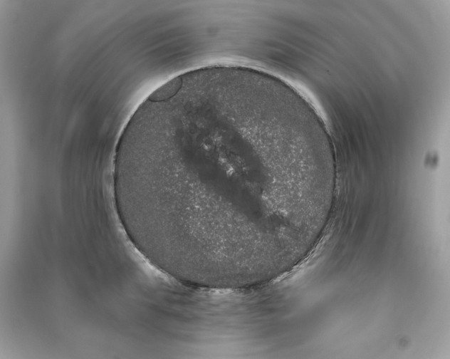 X0000090710903200708101503