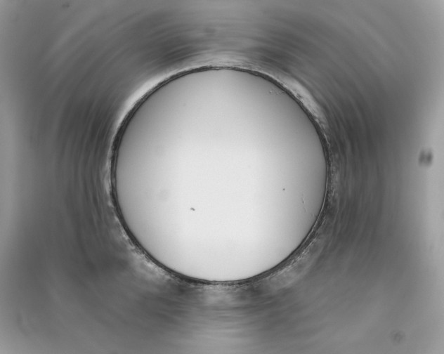 X0000090710904200708101503