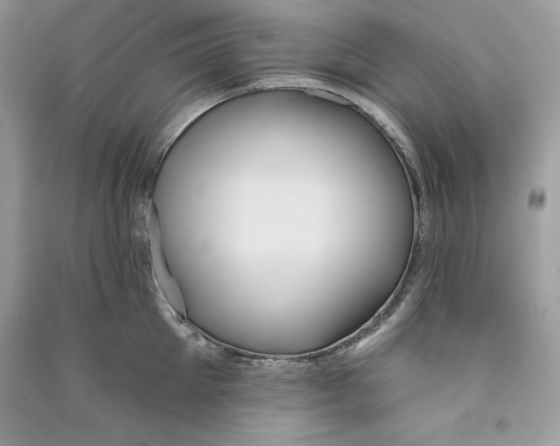 X0000090710905200708101503