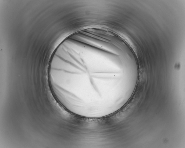 X0000090710906200708101503