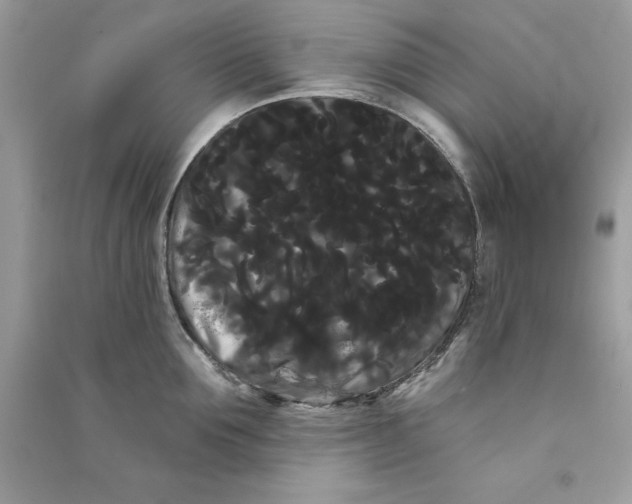 X0000090710907200708101503