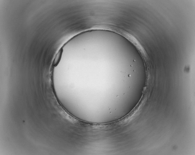 X0000090710908200708101503