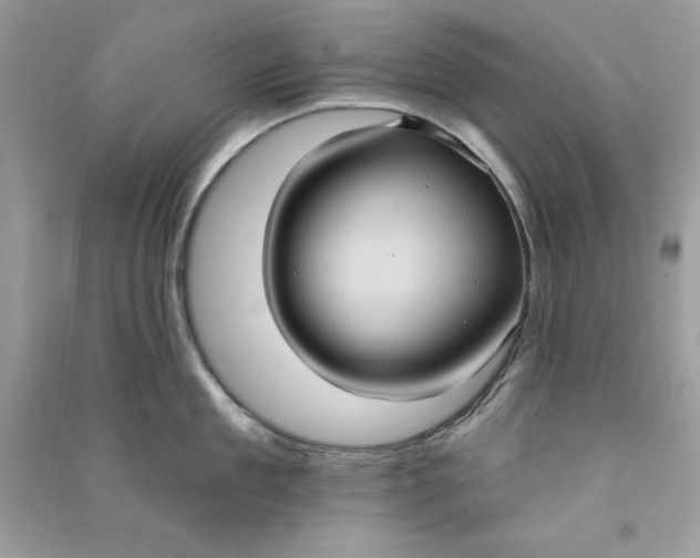 X0000090710909200708101503