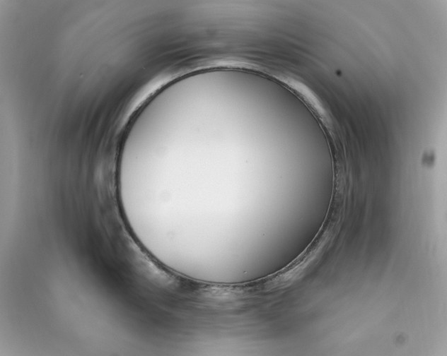 X0000090710910200708101503