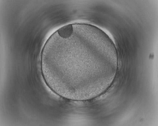 X0000090710911200708101503