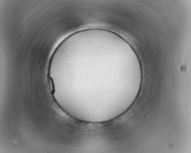 X0000090710912200708101503