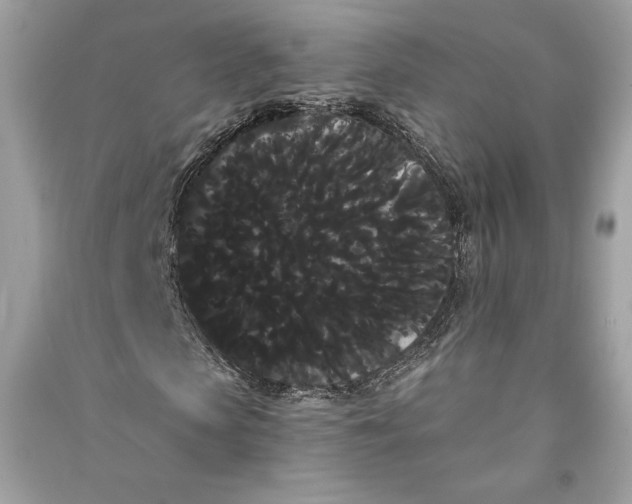 X0000090710913200708101502