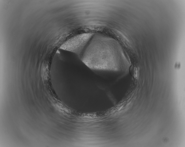 X0000090710915200708101502