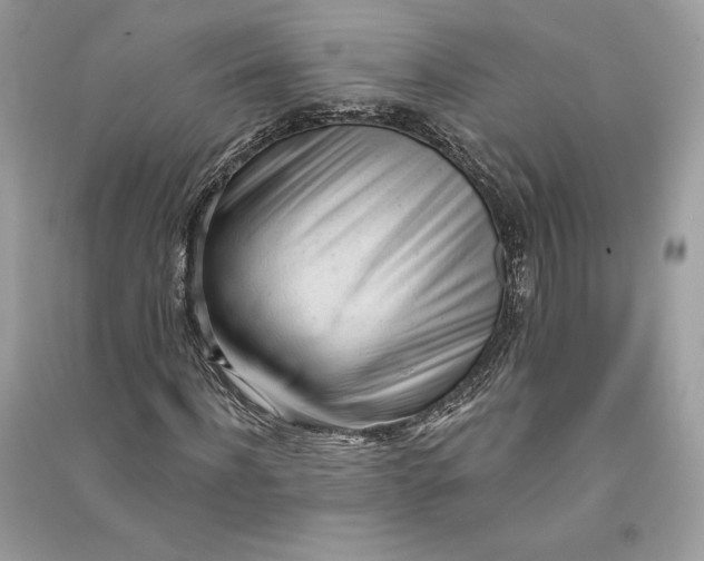 X0000090710916200708101502