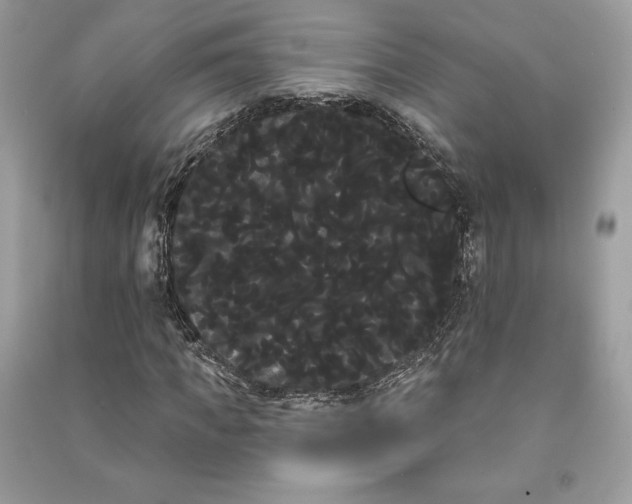 X0000090710917200708101502