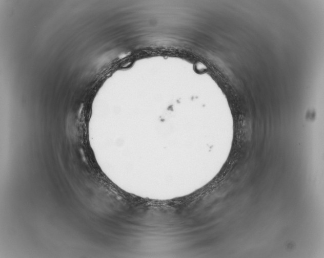 X0000090710918200708101502