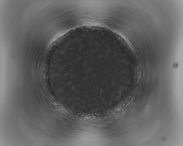 X0000090710919200708101502