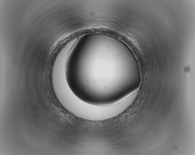 X0000090710920200708101502