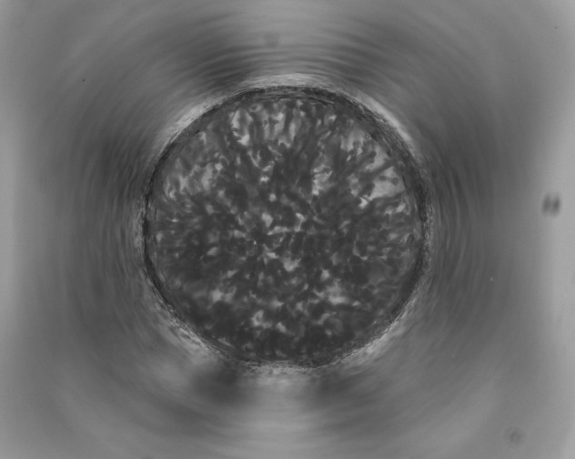 X0000090710921200708101502